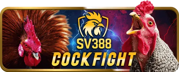 Biểu đồ minh họa các loại cookie khác nhau được sử dụng bởi 789vv