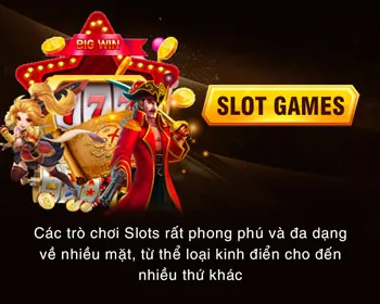 Cấp Độ VIP Bạch Kim 789vv